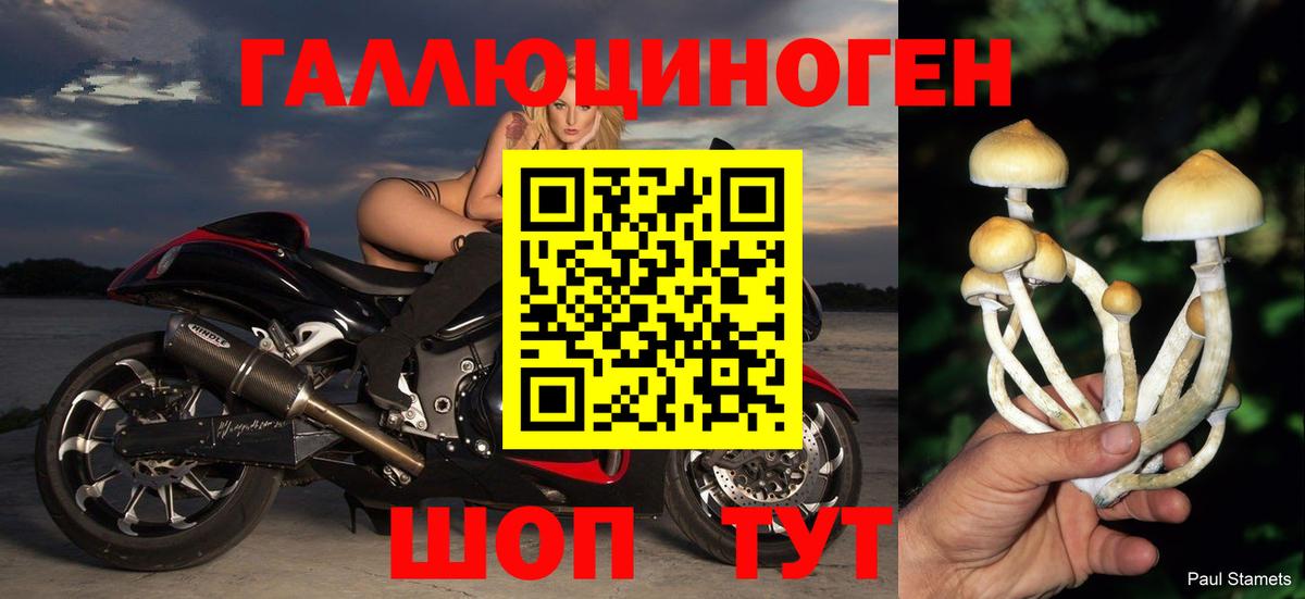 Галлюциногенные грибы Cubensis Егорьевск