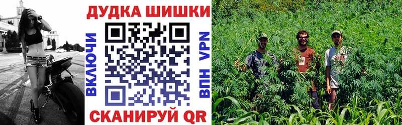 Конопля OG Kush Егорьевск